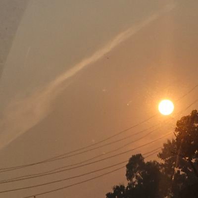 asinghmonika's profile picture. 