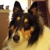Bryan Pitts (@pitts_brya85567) Twitter profile photo Bryan Pitts (@pitts_brya85567) Twitter profile photo