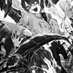 Desh Skelet (@skeletdesh90181) Twitter profile photo Desh Skelet (@skeletdesh90181) Twitter profile photo