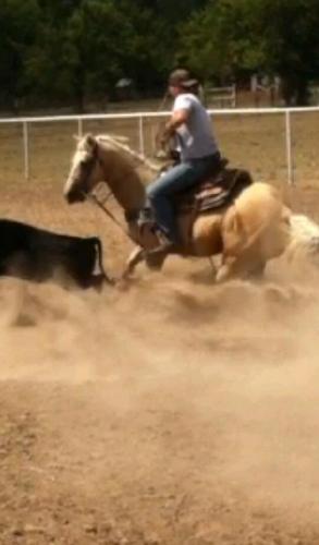 Kegan2611's profile picture. 