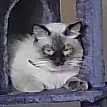 longAutism's profile picture. It's Chilling