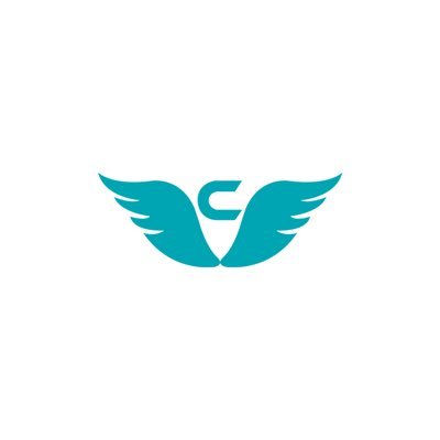 Codeflies Profile