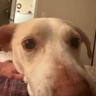 momandattorney's profile picture. 