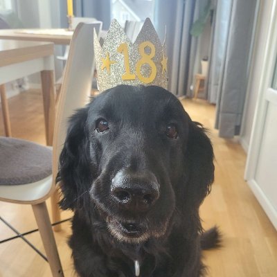 Welp_M3's profile picture. https://t.co/jENjFH6ryo