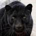 Constantin Dragan (@constantin22831) Twitter profile photo Constantin Dragan (@constantin22831) Twitter profile photo