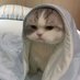 Ni'NiN 🥕 (@nsupapid) Twitter profile photo Ni'NiN 🥕 (@nsupapid) Twitter profile photo