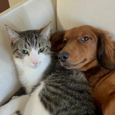 @YOUFlRST