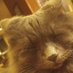 Kai :3 (@twinkassdude) Twitter profile photo Kai :3 (@twinkassdude) Twitter profile photo