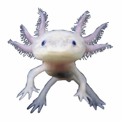 Hey! I'm just a little guy trying to make friends on twitch. Come join me if you like having friends too!