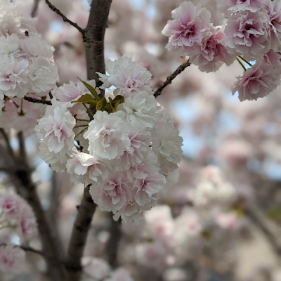 MxSsGPR8hI43456's profile picture. 