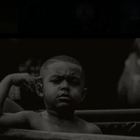 trafic (@falloudioum66) 's Twitter Profile