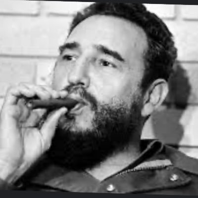 ubiquituoslemon's profile picture. bar | rebel | connoisseur