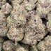 WEED PLUG DENMARK 🇩🇰 (@weed_plugden) Twitter profile photo WEED PLUG DENMARK 🇩🇰 (@weed_plugden) Twitter profile photo