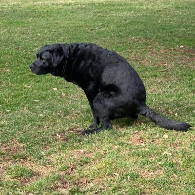B_K_B_K_B's profile picture. 