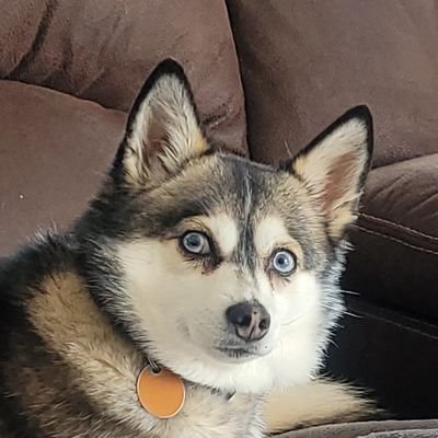 macja68's profile picture. That's just like your opinion, man