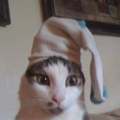 StijnNL's profile picture. It's pronounced Stine not Sti-juhn.

Got the tism.

Gw 100kg 10% bf
Ugw 2000kg 5% body fat.