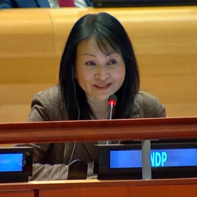 Nature is the very foundation of sustainable, inclusive and equitable development. We are part of Nature. We are Nature. Director of @UNDP Nature Hub .