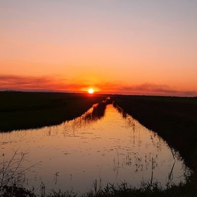 ANACRIS8765's profile picture. 