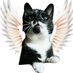 ❤️🌈 In loving memory of our beloved Lilith 🌈❤️ (@ms_lilith999) Twitter profile photo ❤️🌈 In loving memory of our beloved Lilith 🌈❤️ (@ms_lilith999) Twitter profile photo