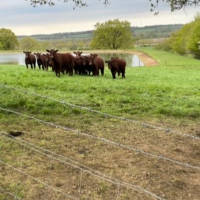 idontgetit2048's profile picture. everyone tells me i’m special