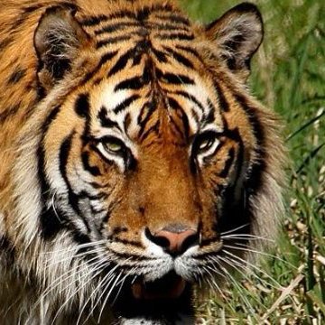 DalvinTyga's profile picture. Proudly African rooted 💯
African spirituality 🤍🖤❤️
Probe everything 🛡️
Embrace Love🌹
Be wild 🐅