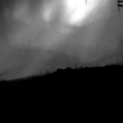 l1mbo_forest's profile picture. 