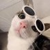 a (@rrrlu___) Twitter profile photo a (@rrrlu___) Twitter profile photo