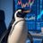 Penguin avatar