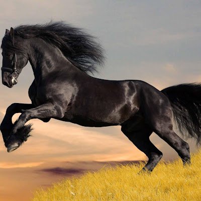 SusanA642934's profile picture. 