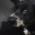 auden (@auden1115304) Twitter profile photo auden (@auden1115304) Twitter profile photo
