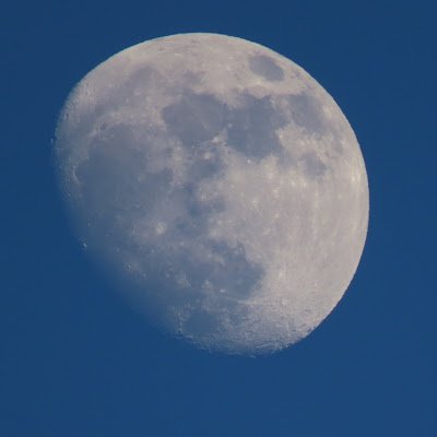 DAVIDVARGA22739's profile picture. 
