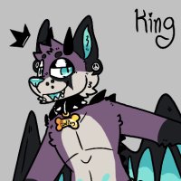 King (@thesolusking) 's Twitter Profile