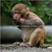 Ottomar billue (@obillue53220) Twitter profile photo Ottomar billue (@obillue53220) Twitter profile photo