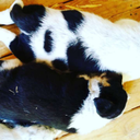 Owen Richards - @RichardsOw69723 - Twitter