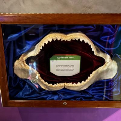 mooresville78's profile picture. 