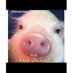 hungry hippo (@jess8728923) Twitter profile photo hungry hippo (@jess8728923) Twitter profile photo