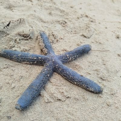 Yvette_1427's profile picture. Taurus☀️
Leo 🌙
Sagittarius ↗️
College student trying to go on day by day