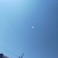 sora@ゼロからの挑戦🔰 (@ndfxkq2osj40224) 's Twitter Profile