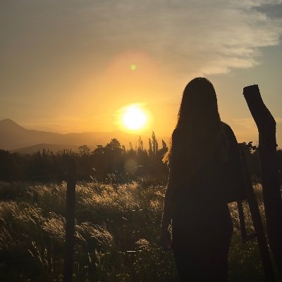 IsekaLele's profile picture. ni te conozco.