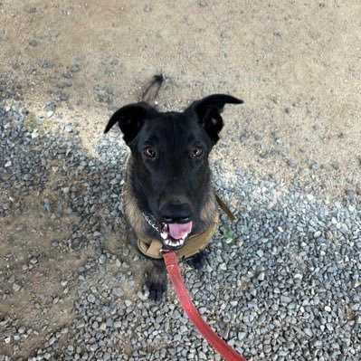 Lancek9WG's profile picture. 