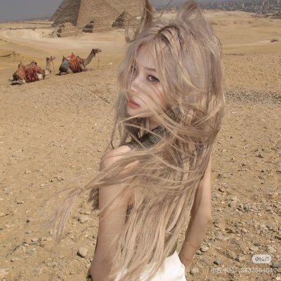 yiyibufan's profile picture. 