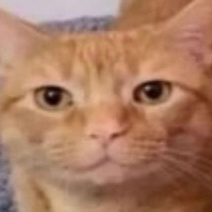 shortroomtable's profile picture. • Ellie • 16 • she/her •