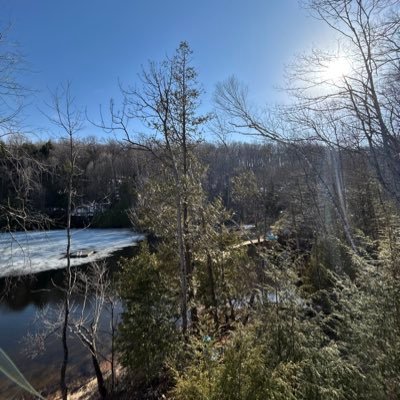 DaveJutzi's profile picture. 