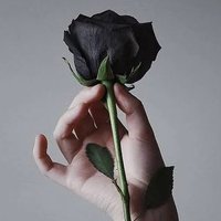 Anna🥀•FStan🤘•BP🥦 (@anna_062020) 's Twitter Profile Photo Anna🥀•FStan🤘•BP🥦 (@anna_062020) 's Twitter Profile Photo