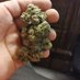 👑🍃😮💨stoner mike😮💨🍃👑 (@stoner_michael1) Twitter profile photo 👑🍃😮💨stoner mike😮💨🍃👑 (@stoner_michael1) Twitter profile photo