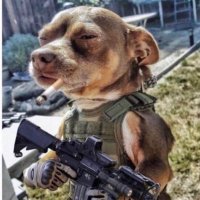 Commander Louis (@commander_louis) 's Twitter Profile