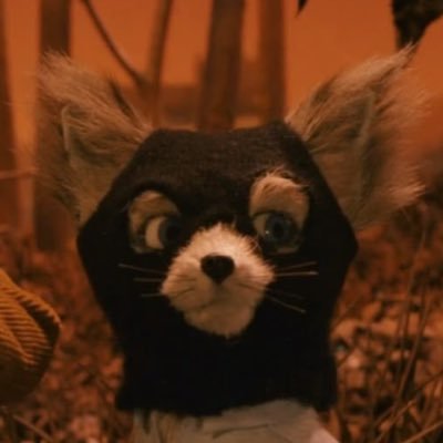 likynsfurn's profile picture. 23,furry, fag, freak, dms open (commissions open)(taken🧡)