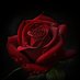 hablu pandukan (@hablup4855) Twitter profile photo hablu pandukan (@hablup4855) Twitter profile photo