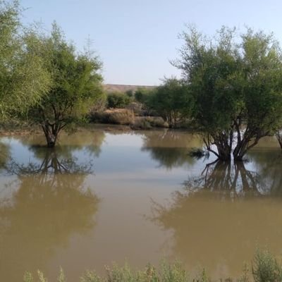 sa12qwertyuiop's profile picture. 