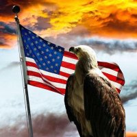 Raw Politics🇺🇸 (@rawpolitic) 's Twitter Profile